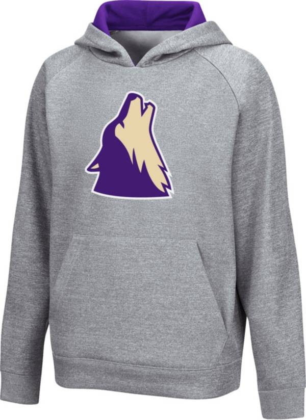Colosseum Youth College of Idaho Yotes Grey Pullover Hoodie product image