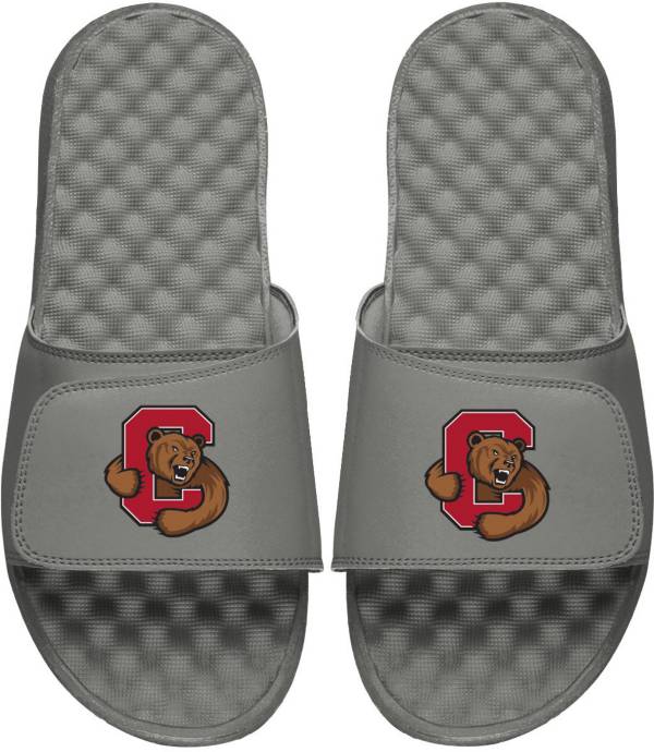 ISlide Cornell Big Red Grey Logo Slide Sandals product image