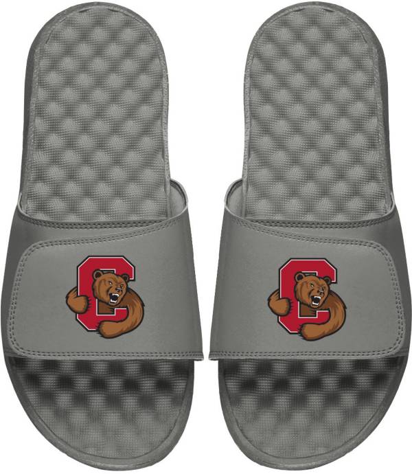 ISlide Youth Cornell Big Red Grey Logo Slide Sandals