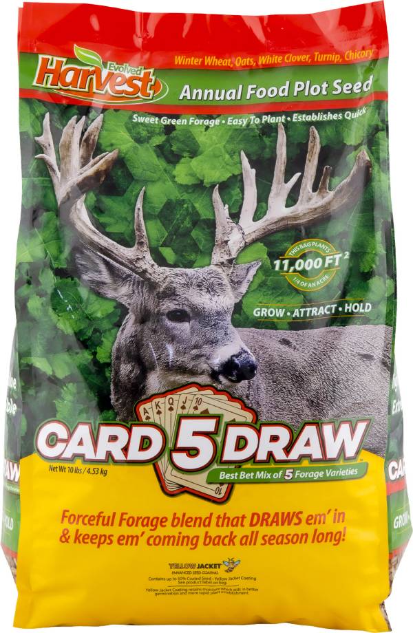 Evolved 5 Card Draw Food Plot Seed