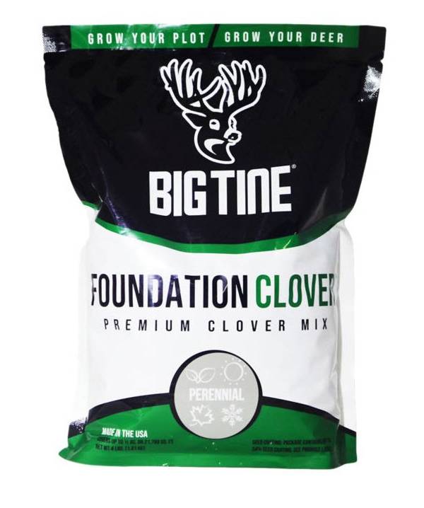 Big Tine Foundation Clover