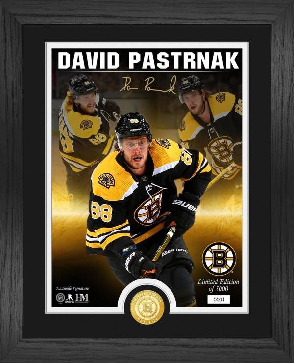 Highland Mint Boston Bruins David Pastrnak Signature Series Bronze Coin Photo Mint