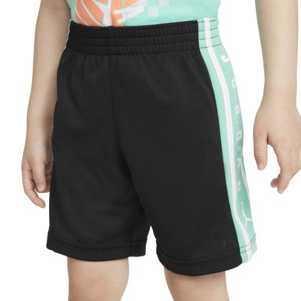 Jordan Toddler Vertical Mesh Shorts