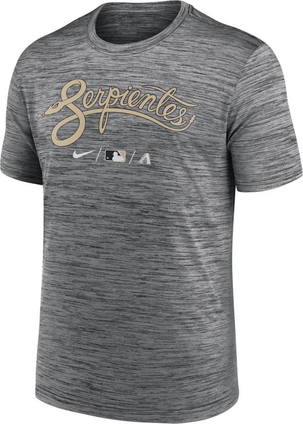 Nike Men's Arizona Diamondbacks 2022 City Connect Velocity Practice T-Shirt