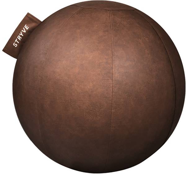 STRYVE Active Ball product image
