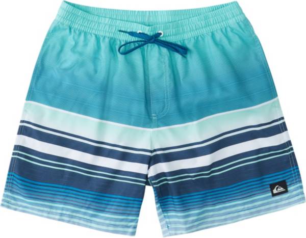 Quiksilver Men's Swell Vision 17” Volley Swim Trunks