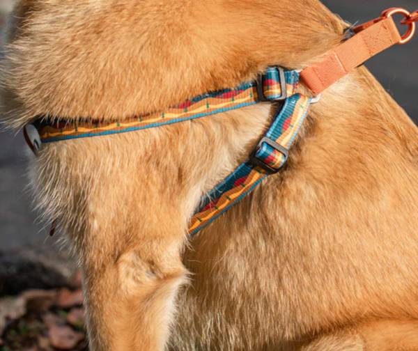 United by Blue Woven Dog Harness product image