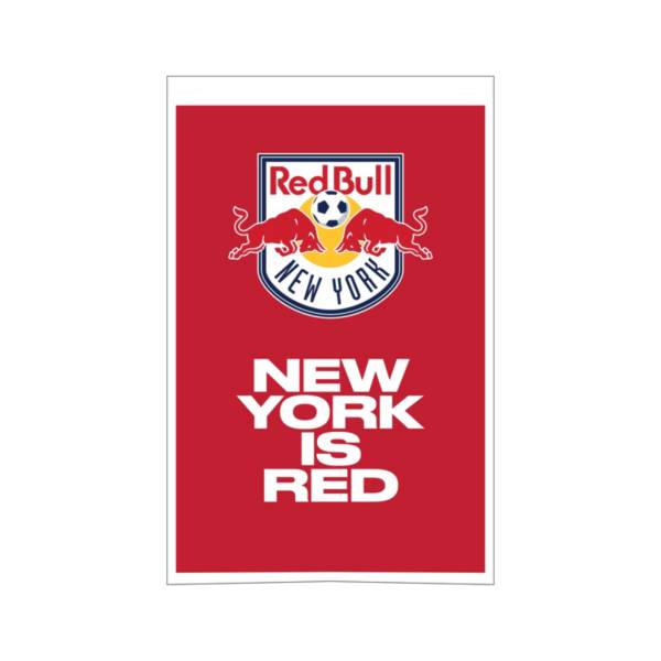Winning Streak Sports New York Red Bulls Champs Banner