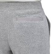 Patagonia Women's Shearling Cropped Pants product image