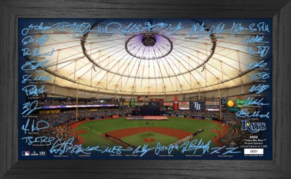 Highland Mint Tampa Bay Rays Signature Framed Field Print