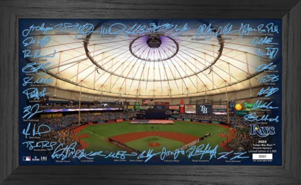 Highland Mint Tampa Bay Rays Signature Framed Field Print product image