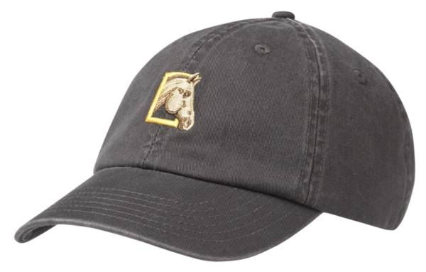 Parks Project Wild Horses Dad Hat product image