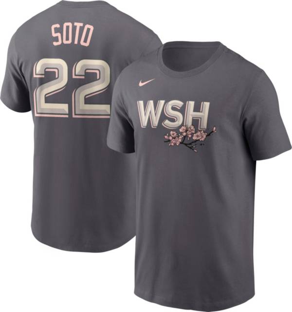 Nike Men's Washington Nationals Juan Soto #22 2022 City Connect T-Shirt