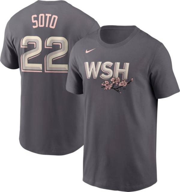 Nike Men's Washington Nationals Juan Soto #22 2022 City Connect T-Shirt product image