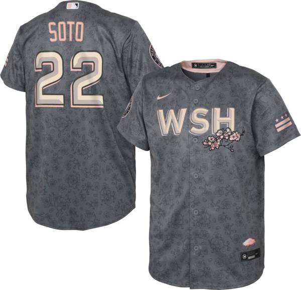 Nike Youth Washington Nationals Juan Soto #22 2022 City Connect Cool Base Jersey
