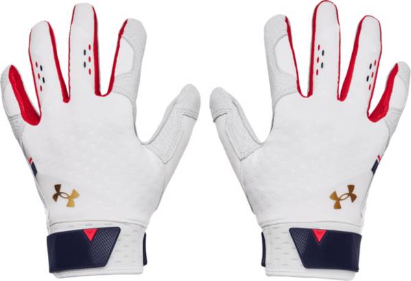 Under Armour Men's Harper Pro 21 LE Batting Gloves