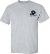 New World Graphics Men's West Virginia Mountaineers Grey Vintage Map T-Shirt product image