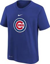 Nike Youth Boys' Chicago Cubs Blue Logo Legend T-Shirt product image