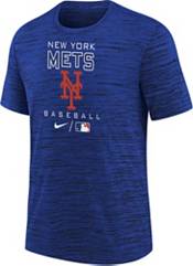 Nike Youth Boys' New York Mets Blue Authentic Collection Velocity T-Shirt product image