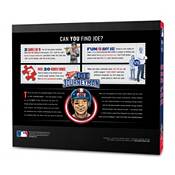 You the Fan Boston Red Sox Find Joe Journeyman Puzzle product image