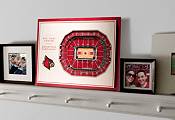 You the Fan Louisville Cardinals 5-Layer StadiumViews 3D Wall Art product image
