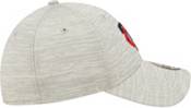 New Era Men's Minnesota Twins Gray 39Thirty Stretch Fit Hat product image