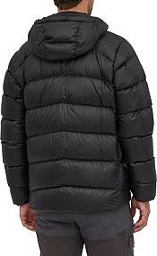 Patagonia Men's Fitz Roy Down Hooded Jacket product image