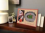 You the Fan Wisconsin Badgers 3D Picture Frame product image