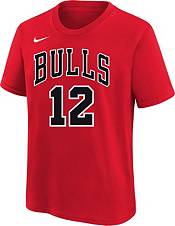 Nike Youth Chicago Bulls Ayo Dosunmu #12 Red T-Shirt product image
