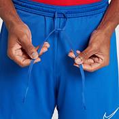 Nike Men's Academy Shorts product image
