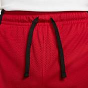 Jordan Men's Dri-FIT Mesh Shorts product image