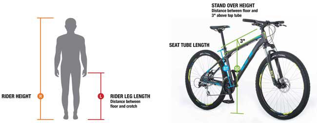 gt aggressor size chart