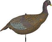 Sports Afield Jake and Hen Decoy Combo product image