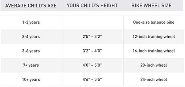 schwinn size chart