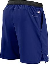 Nike Men's Texas Rangers Royal Flex Vent Shorts product image
