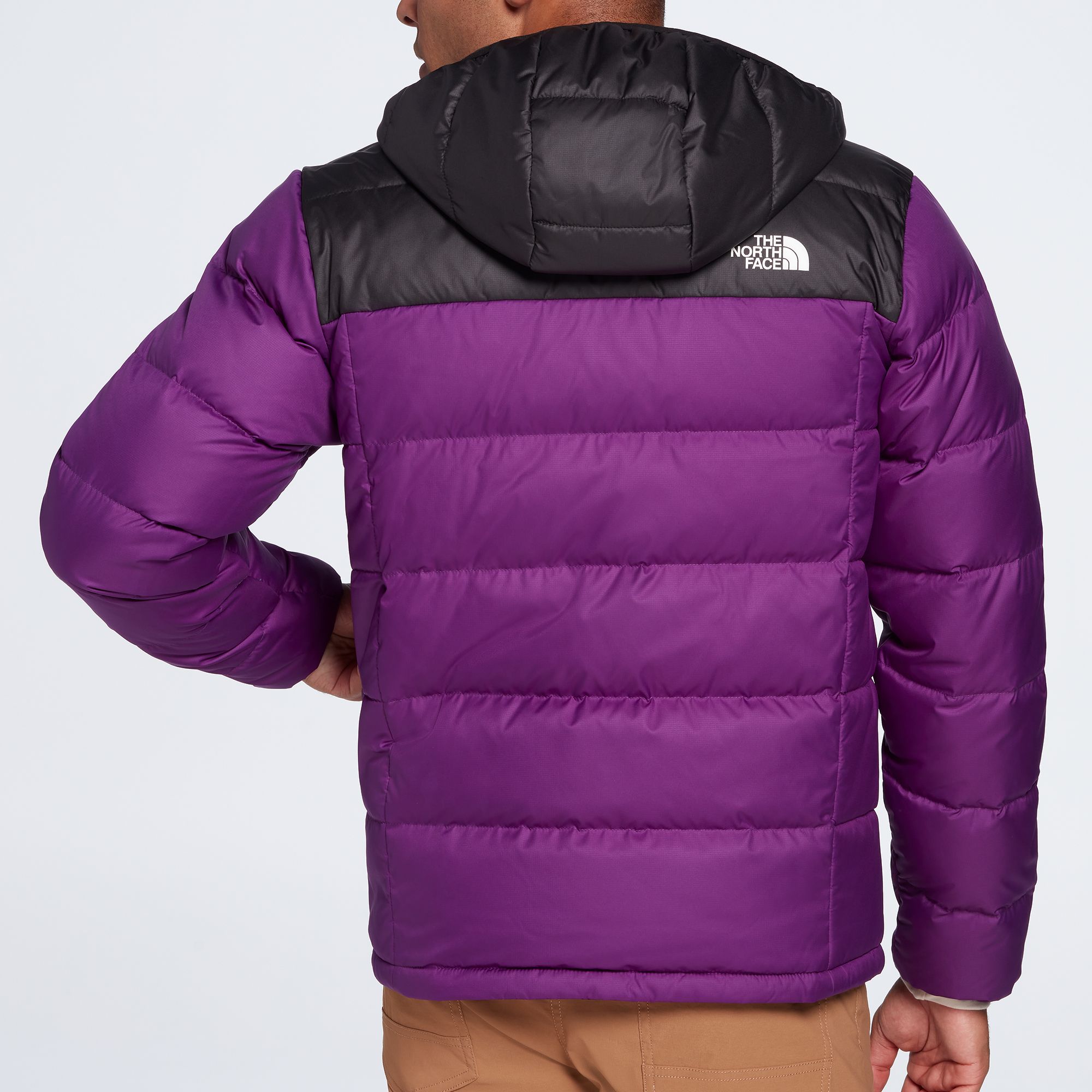 north face alpz luxe hooded jacket men's