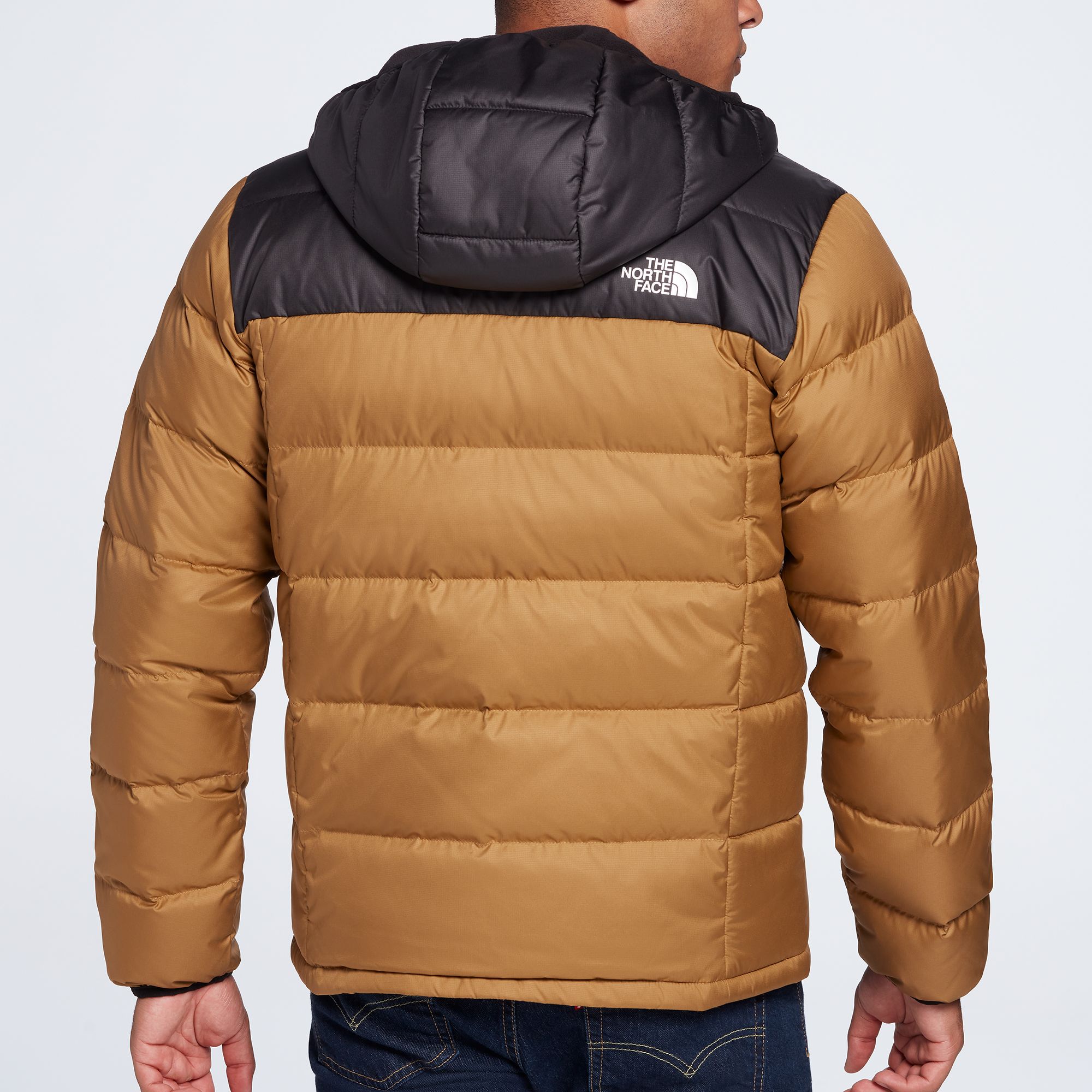 north face alpz luxe hooded jacket men's