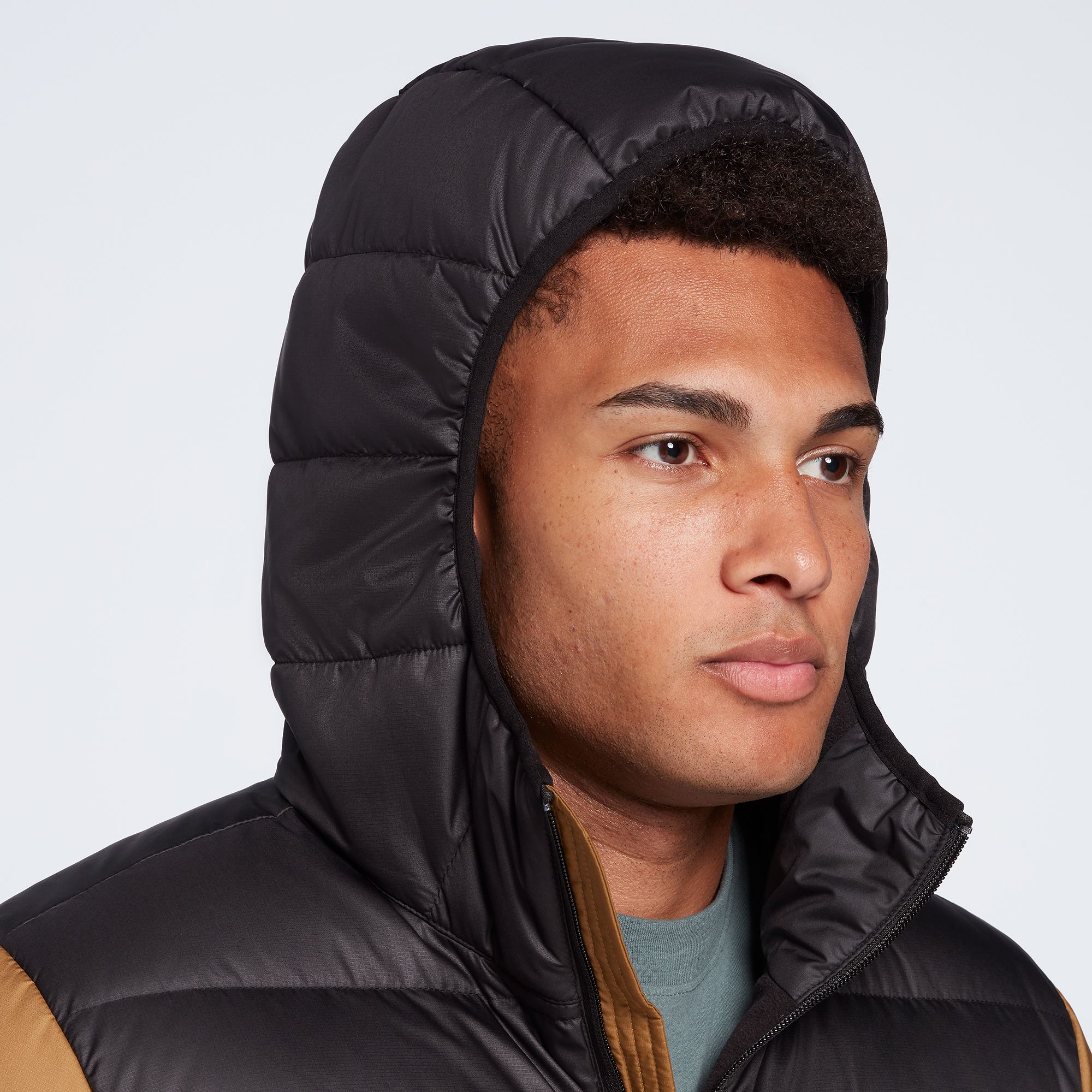 north face alpz luxe hooded jacket men's