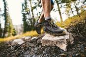 Columbia Men's Newton Ridge Plus II Waterproof Hiking Boots product image