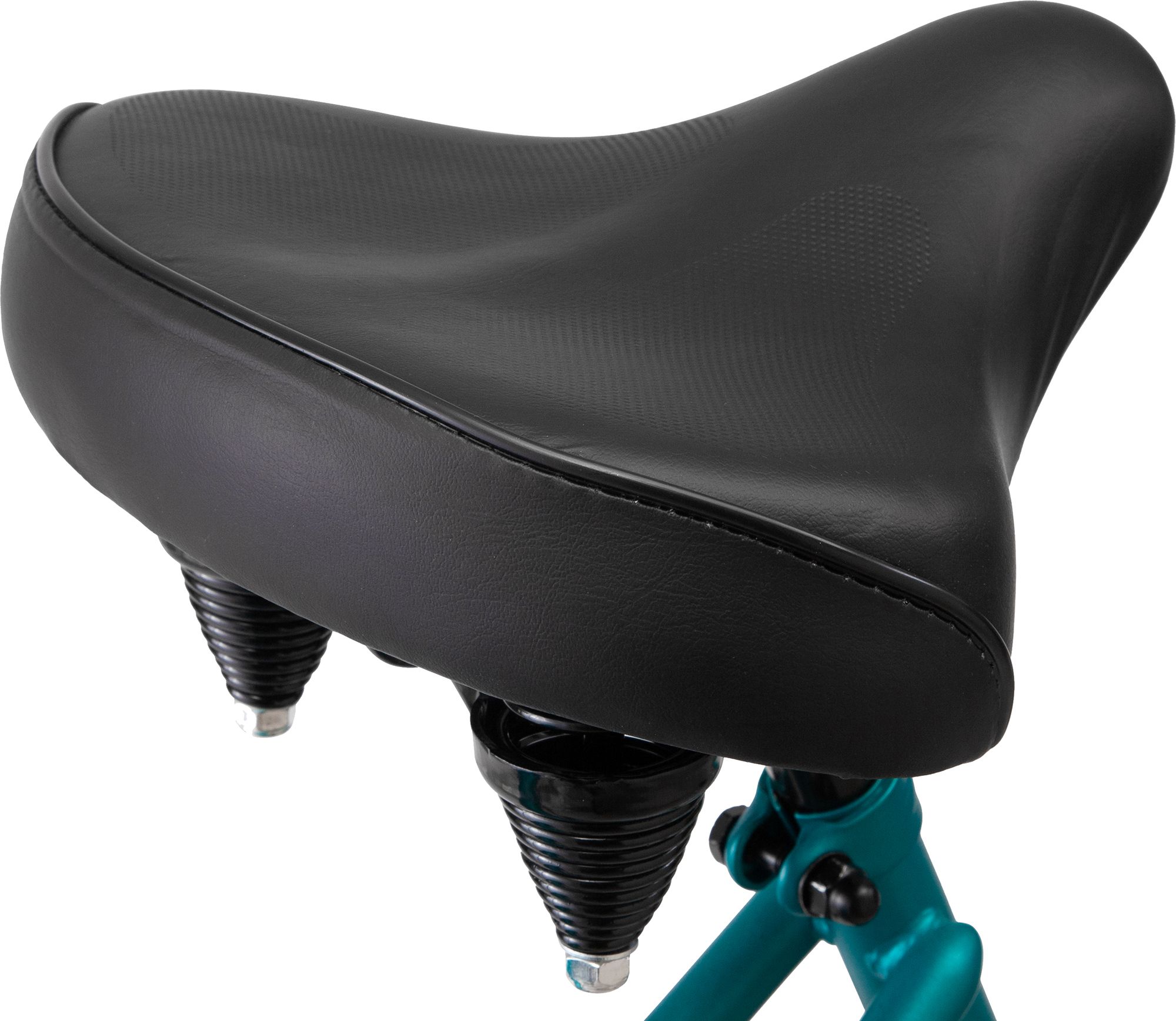 schwinn signature largo