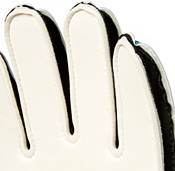 DSG Adult Avon Soccer Goalkeeper Gloves product image