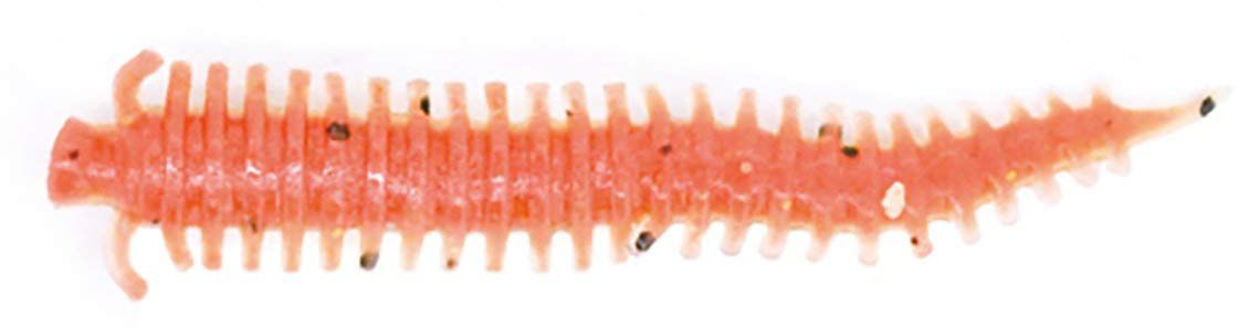 Berkley Gulp! Sandworm 2” Bloody: L'esca Che Sanguina (e I Pesci Impazziscono) - 24 Pezzi