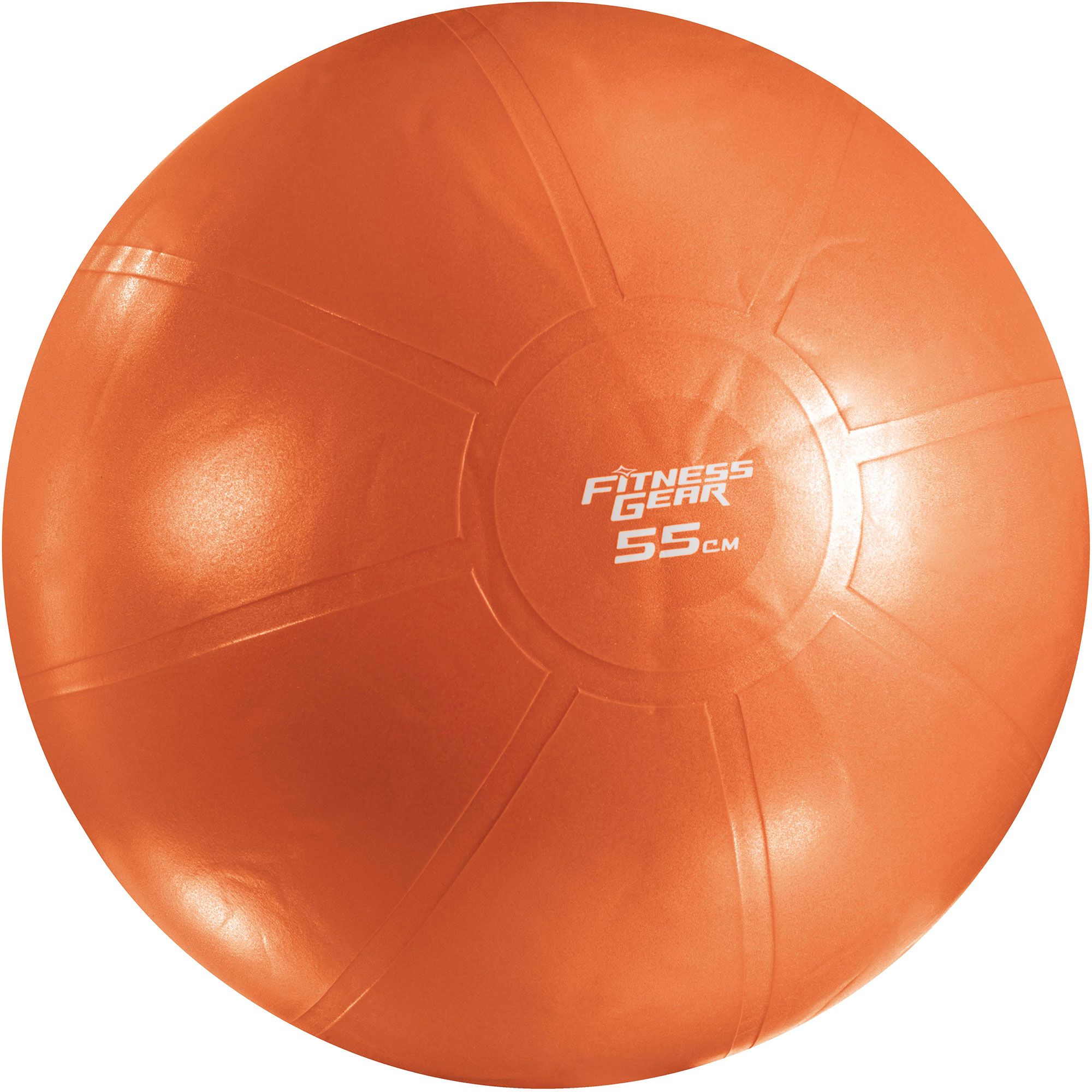 Fitness gear exercise ball on sale