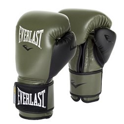 Everlast 16 Ounce Powerlock Hook & Loop Training Gloves Black/gold E3 for sale online 