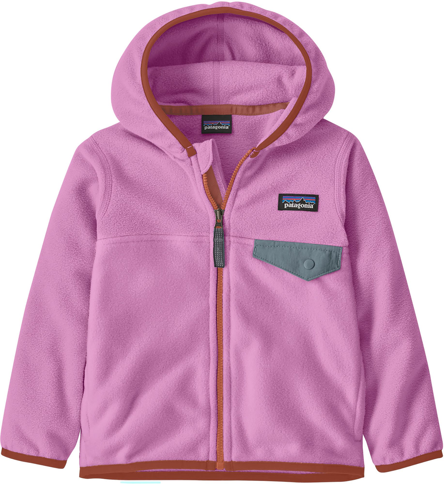 Patagonia Toddlers' Micro D Snap-T Fleece Jacket | Dick's Sporting