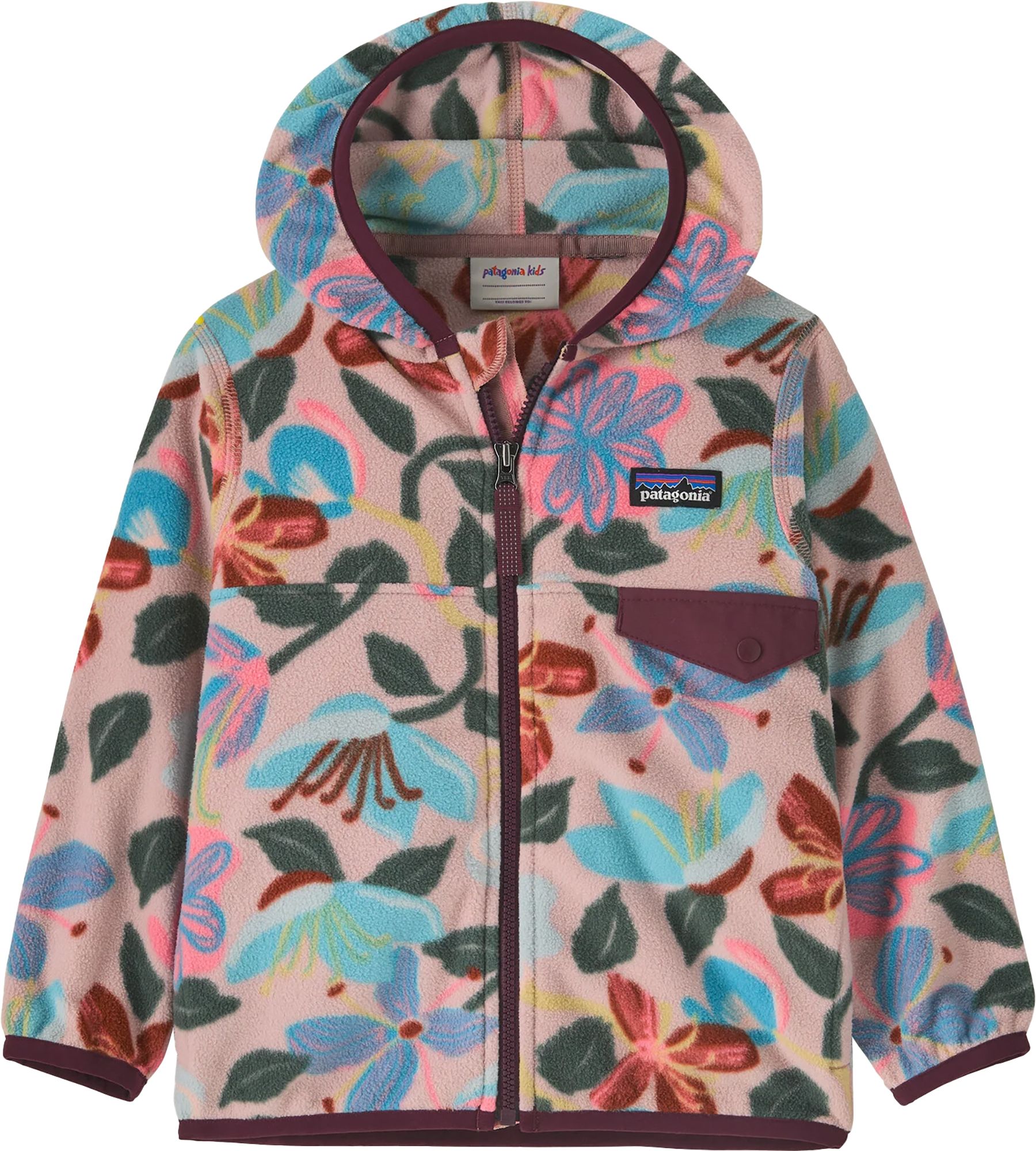 Patagonia Toddlers' Micro D Snap-T Fleece Jacket | Dick's Sporting