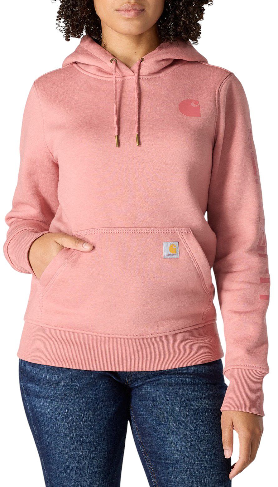 Carhartt Women's Clarksburg Graphic Sleeve Hoodie | Dick's