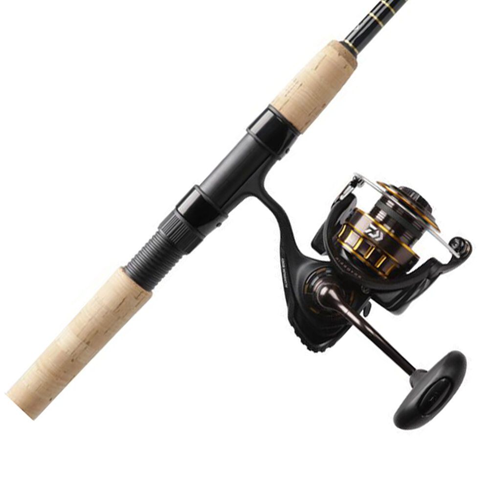 daiwa lady samurai spinning combo