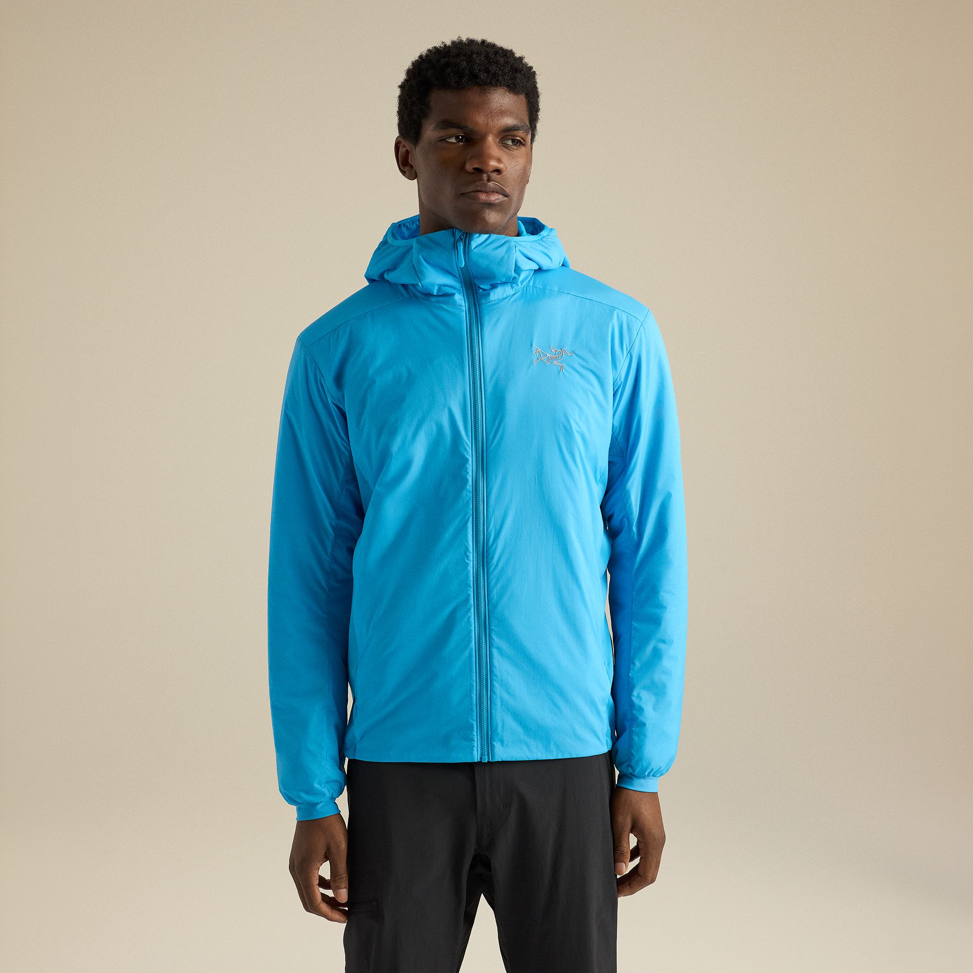 Arc'teryx Men's Atom Hoody | Dick's Sporting Goods