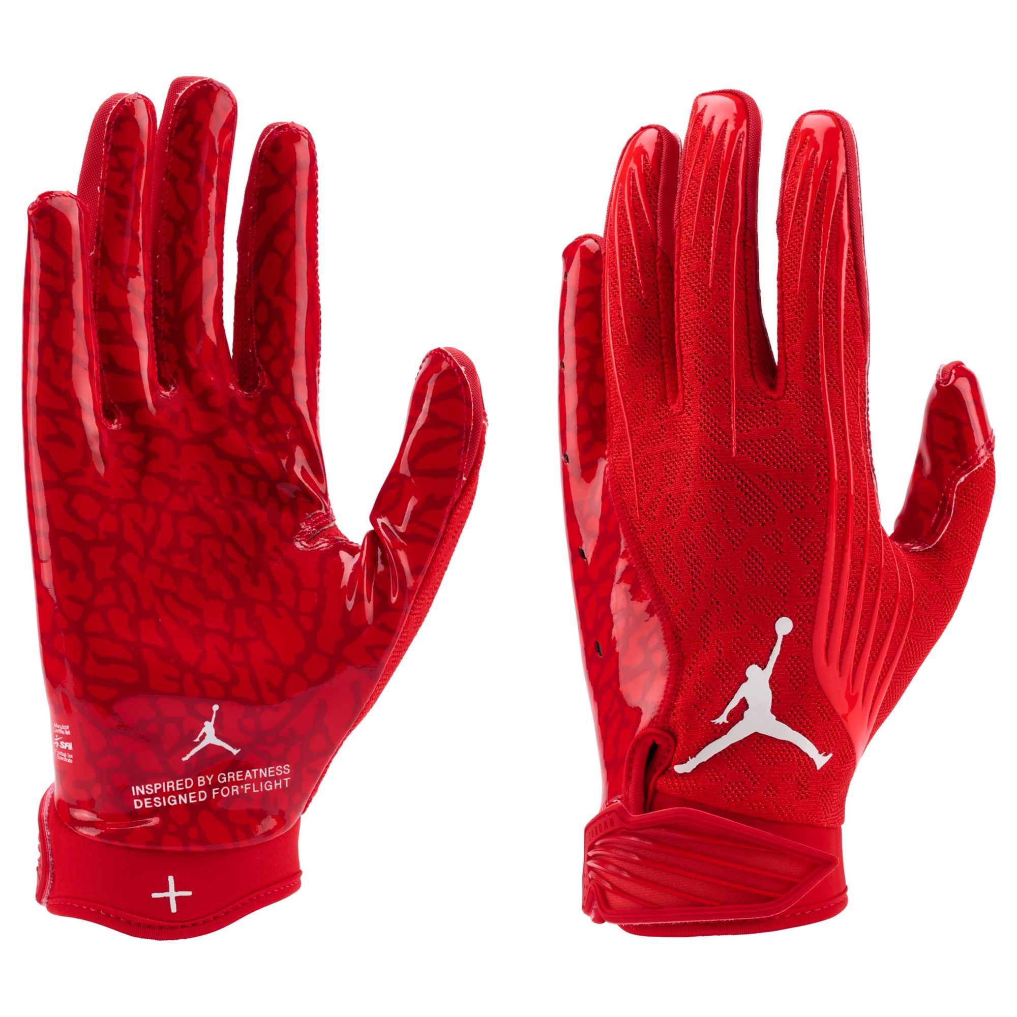 セール‼️JORDAN VAPOR FLY LOCK GLOVE M Jordan Adult Fly Lock Football Glove | Dick's Sporting Goods